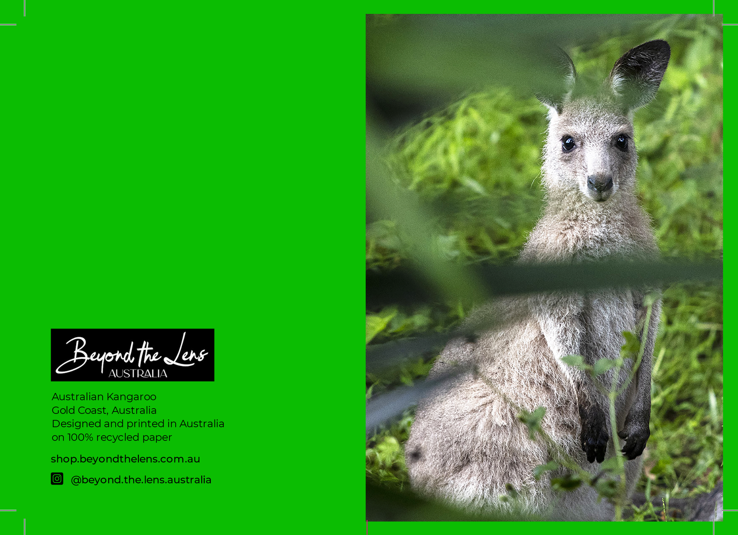 Greeting Card Bundle