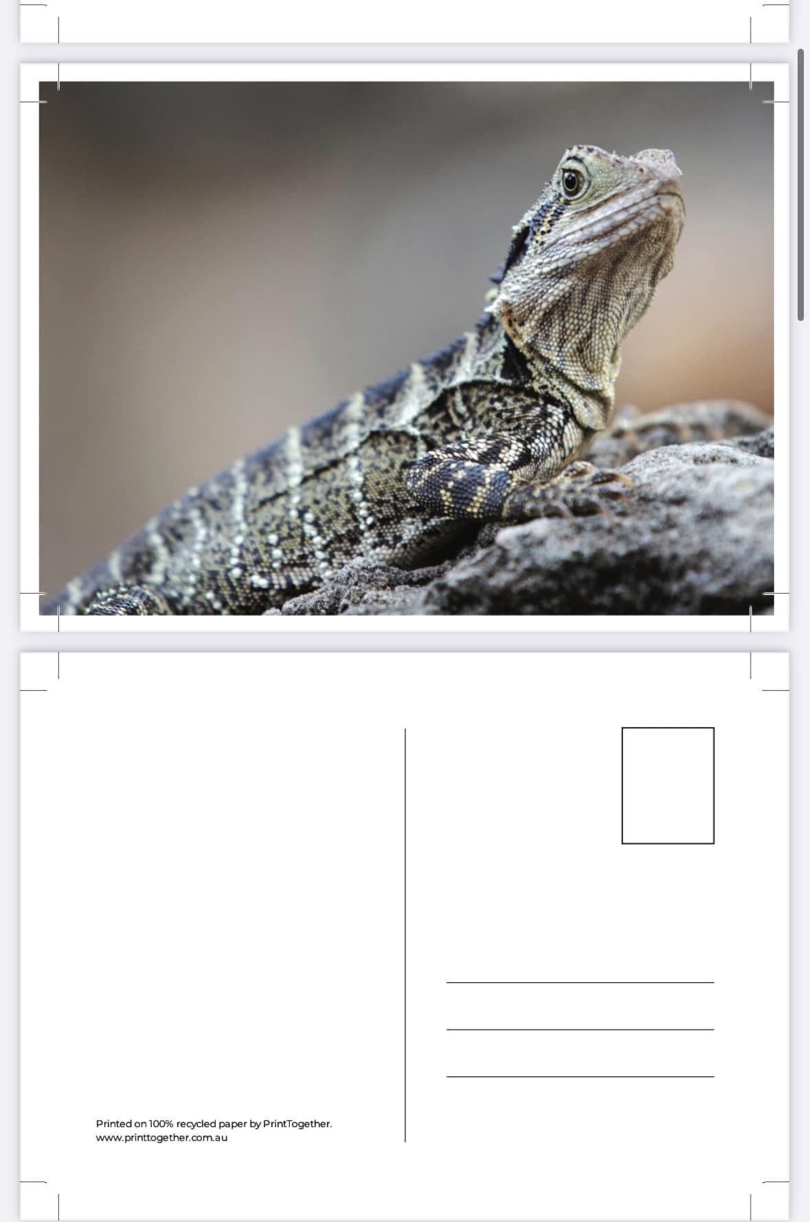 Horizontal Postcards