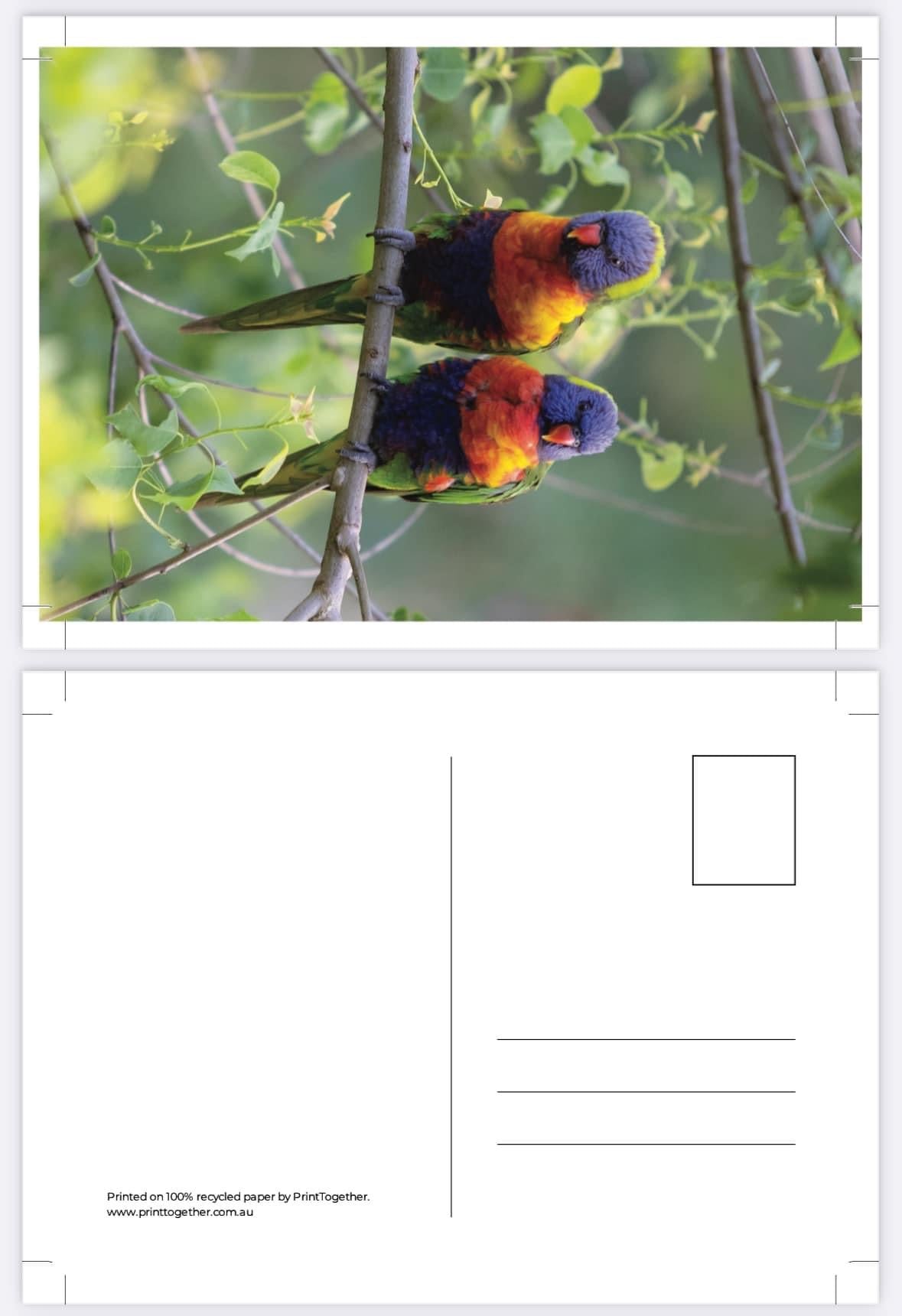 Postcard Bundle