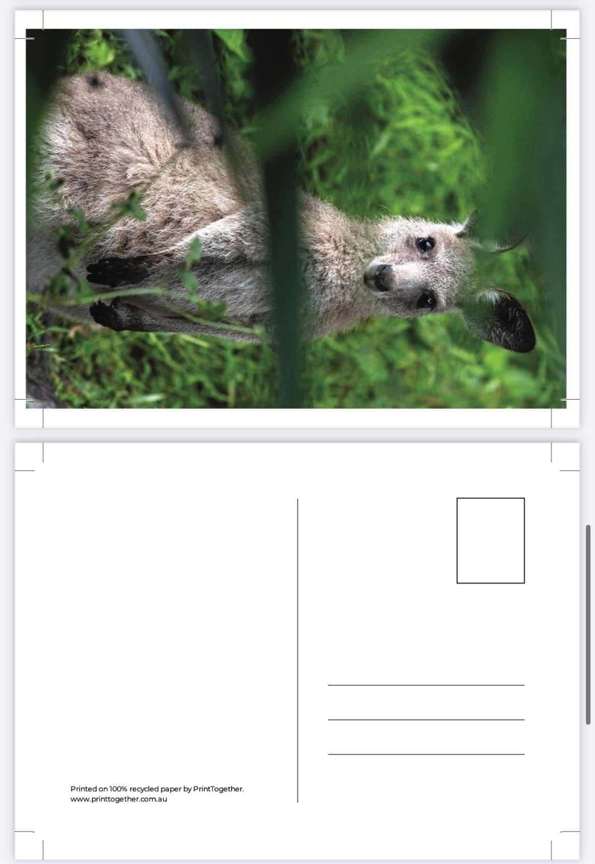 Postcard Bundle