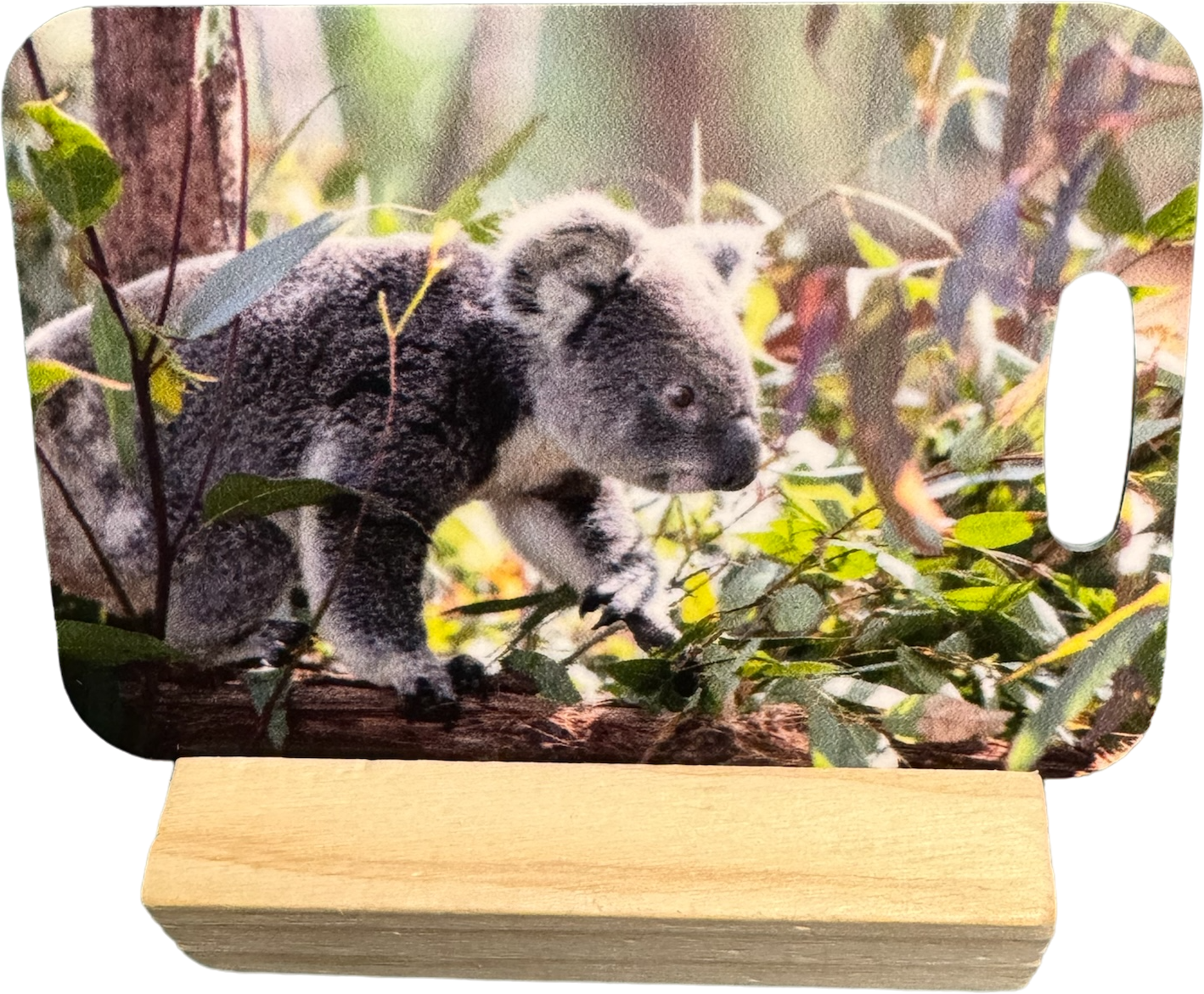 Australian Metal UV Printed Bag Tags