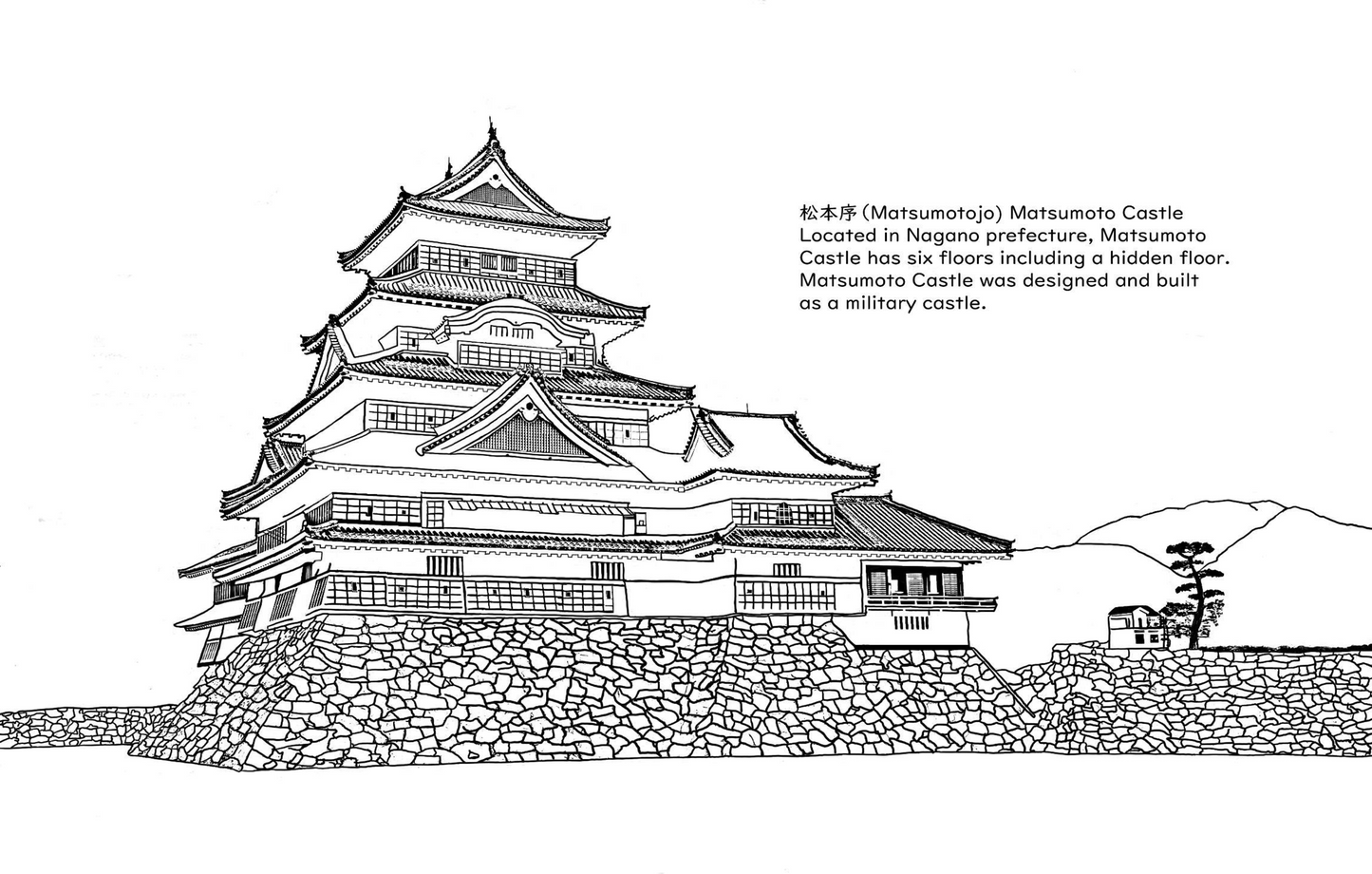 Digital Files