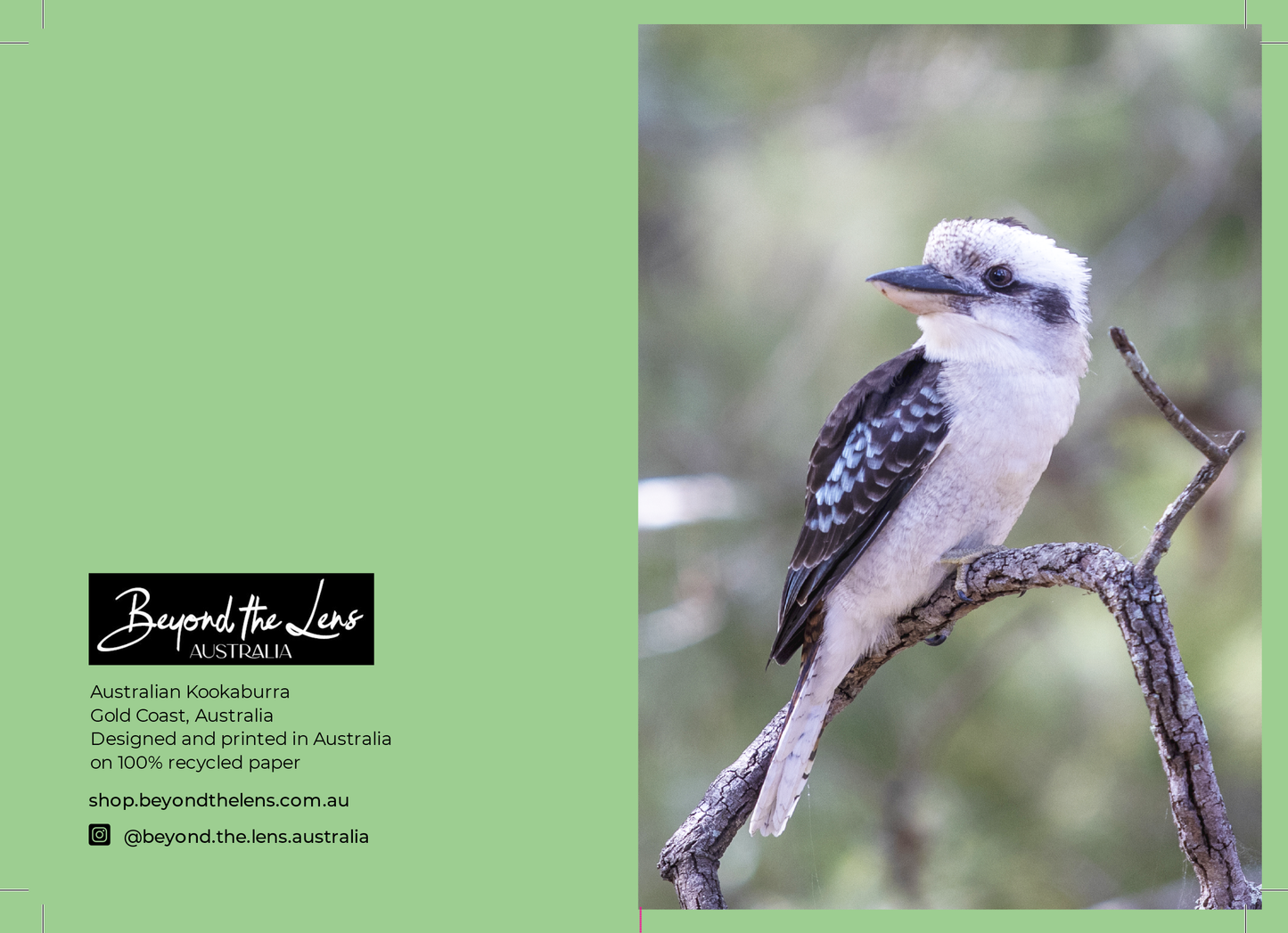 Greeting Card Bundle