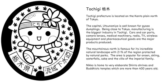 Japanese manhole covers digital resource