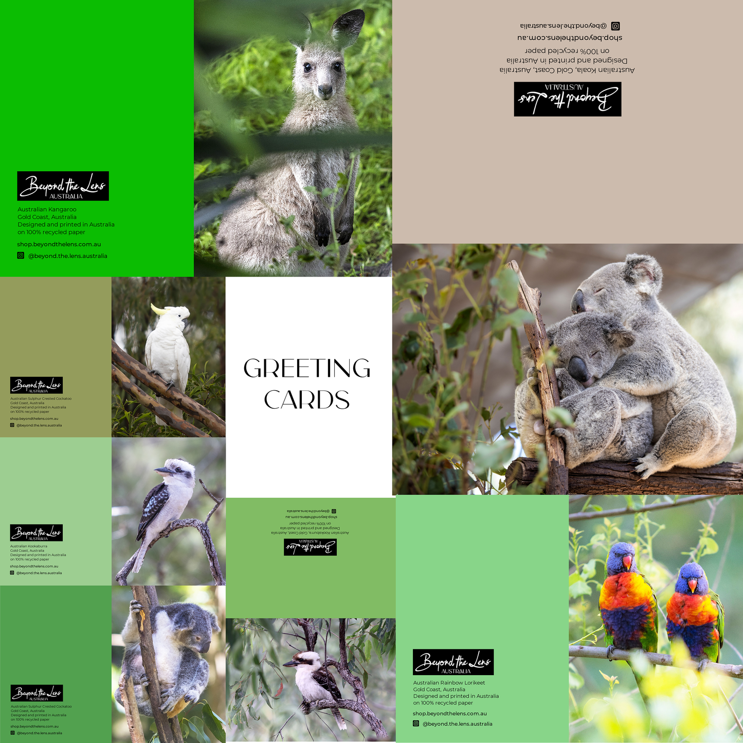 Greeting Card Bundle