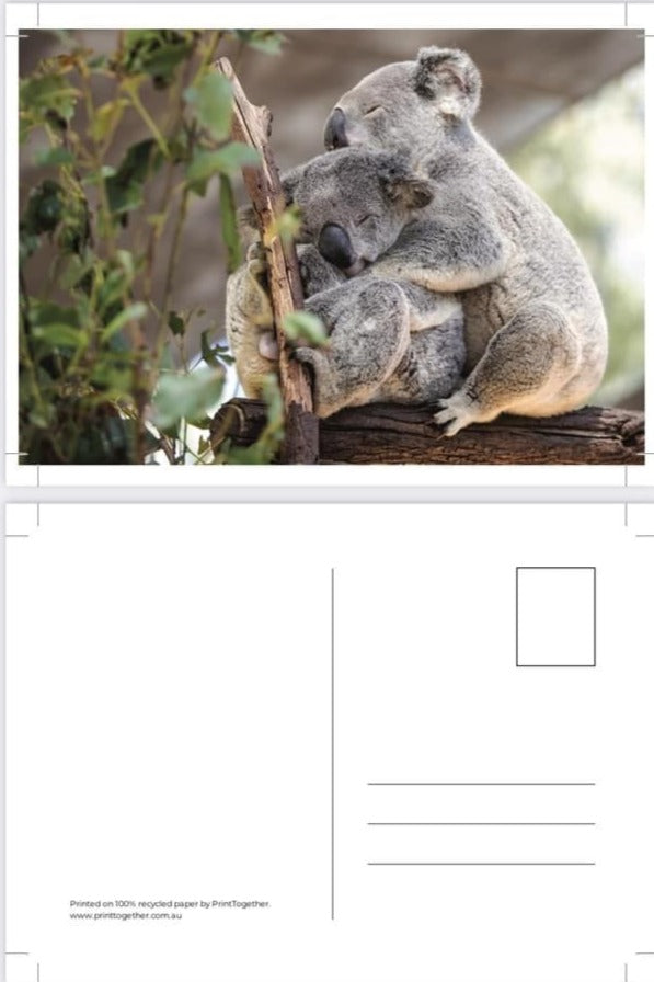 Horizontal Postcards