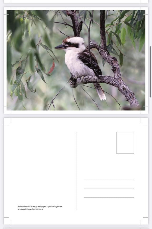 Horizontal Postcards