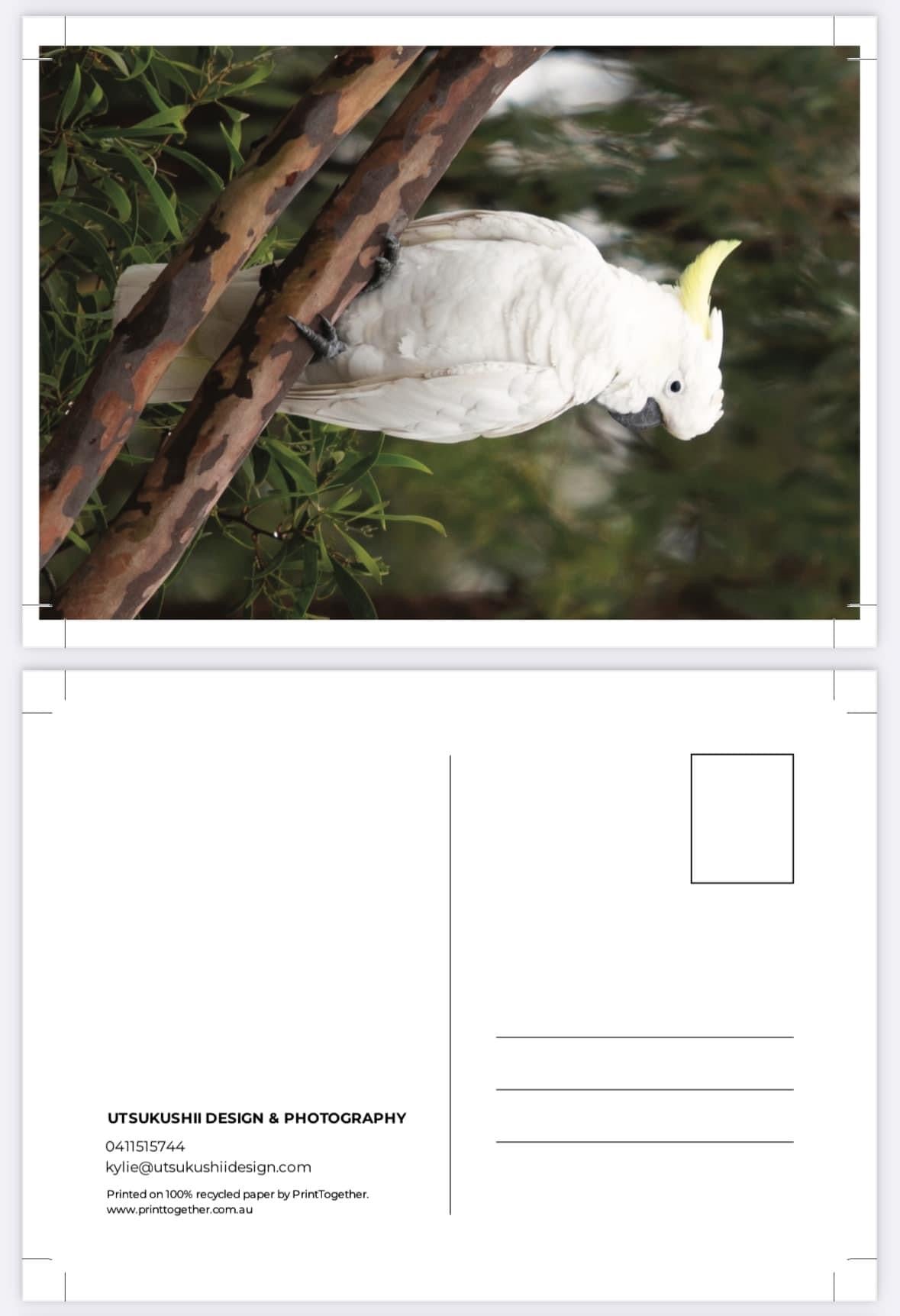 Postcard Bundle