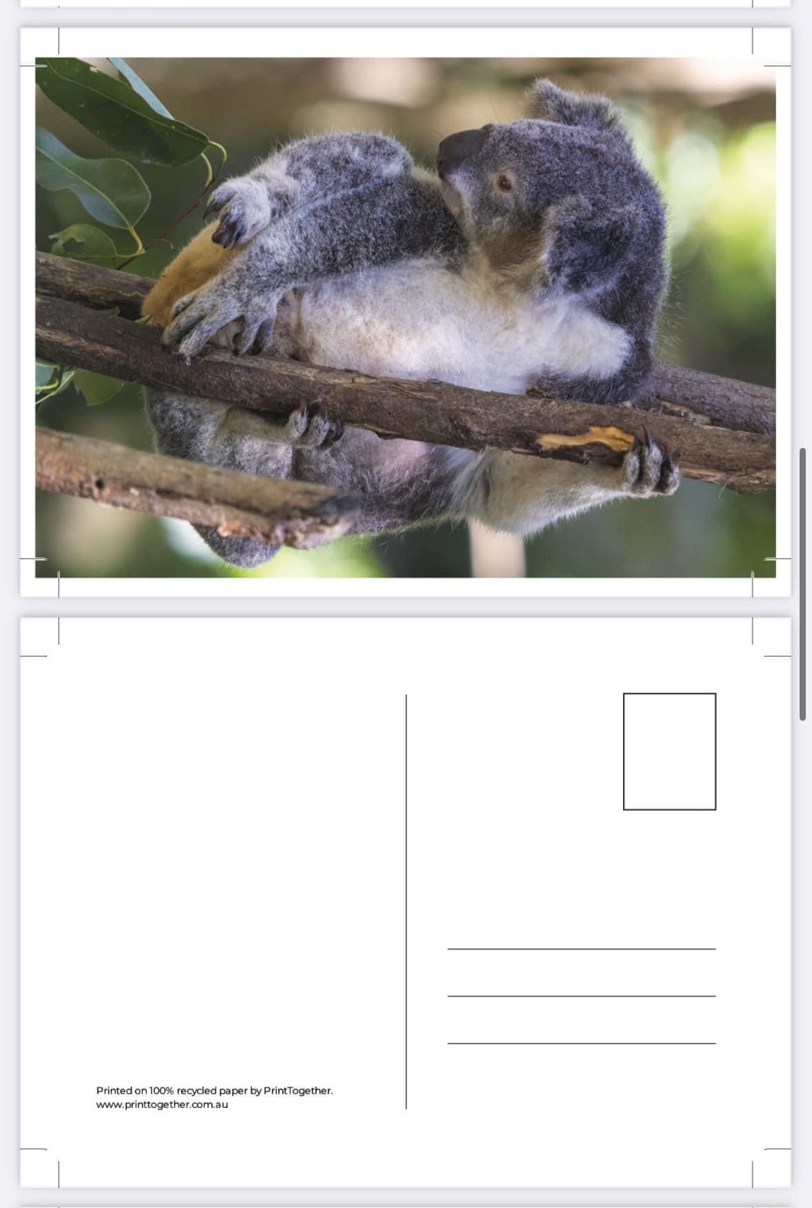 Postcard Bundle