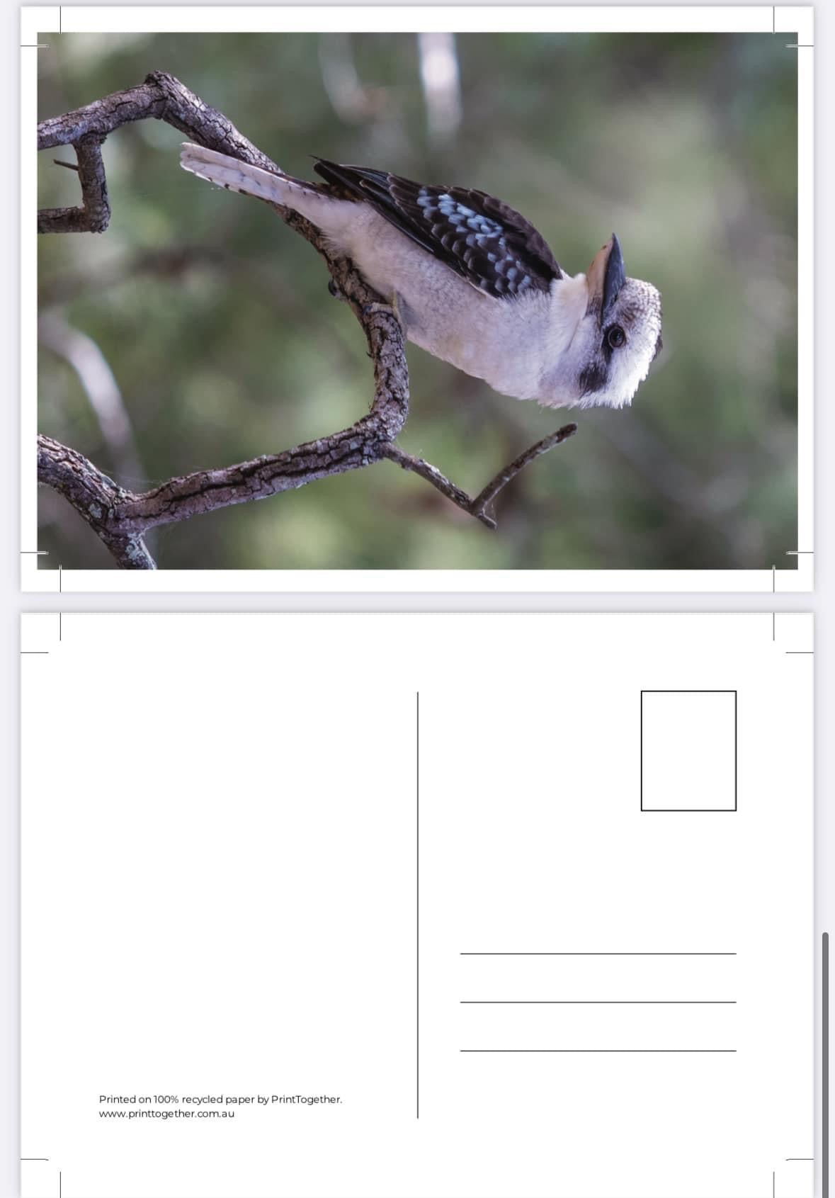 Postcard Bundle