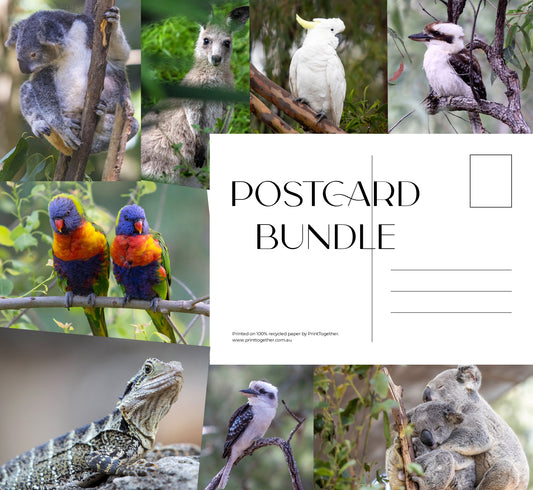 Postcard Bundle