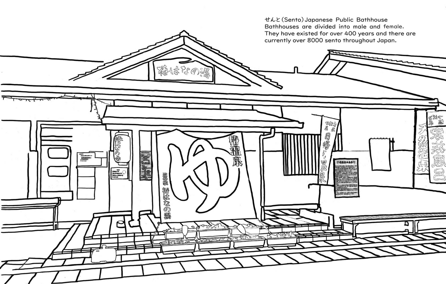Digital Files